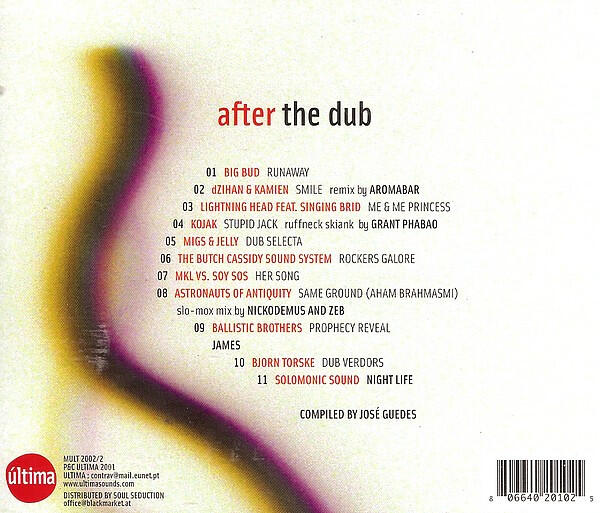 Various – After The Dub
