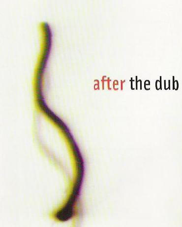 Various – After The Dub