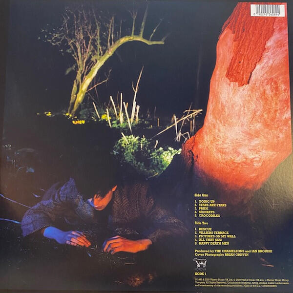 Echo & The Bunnymen - Crocodiles