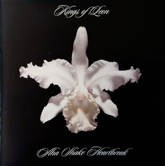 Kings Of Leon – Aha Shake Heartbreak